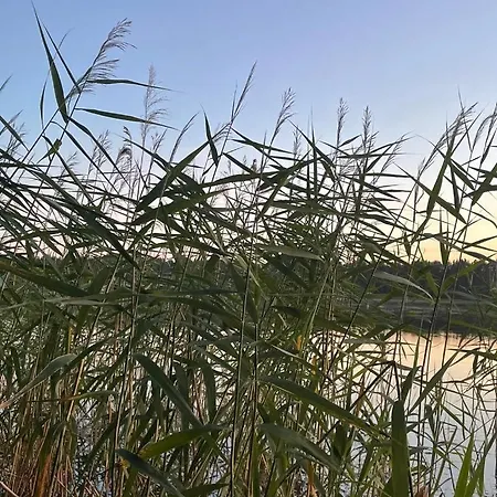 Maal Ja Veel Apartamento