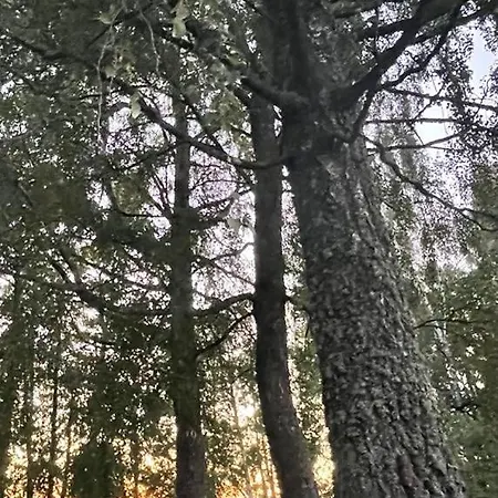 Apartamento Maal Ja Veel Misso