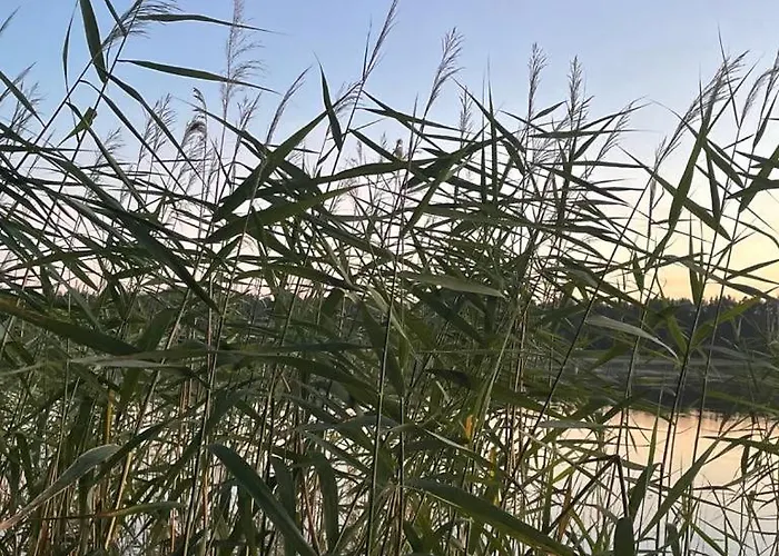 Maal Ja Veel Apartment