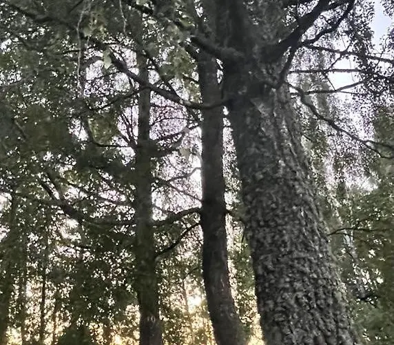 Apartment Maal Ja Veel Misso